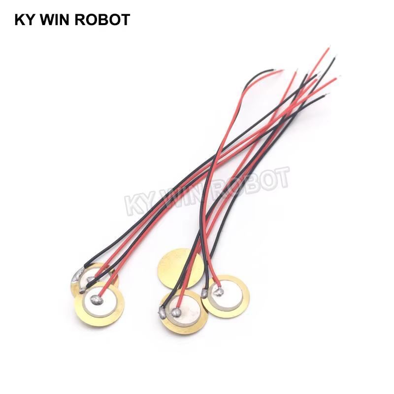 10 Buah Pelat Wafer Keramik Pi - Arduino Diy Electronics ulasan dan harga