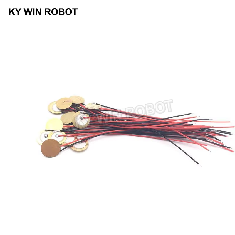 10 Buah Pelat Wafer Keramik Pi - Arduino Diy Electronics ulasan dan harga